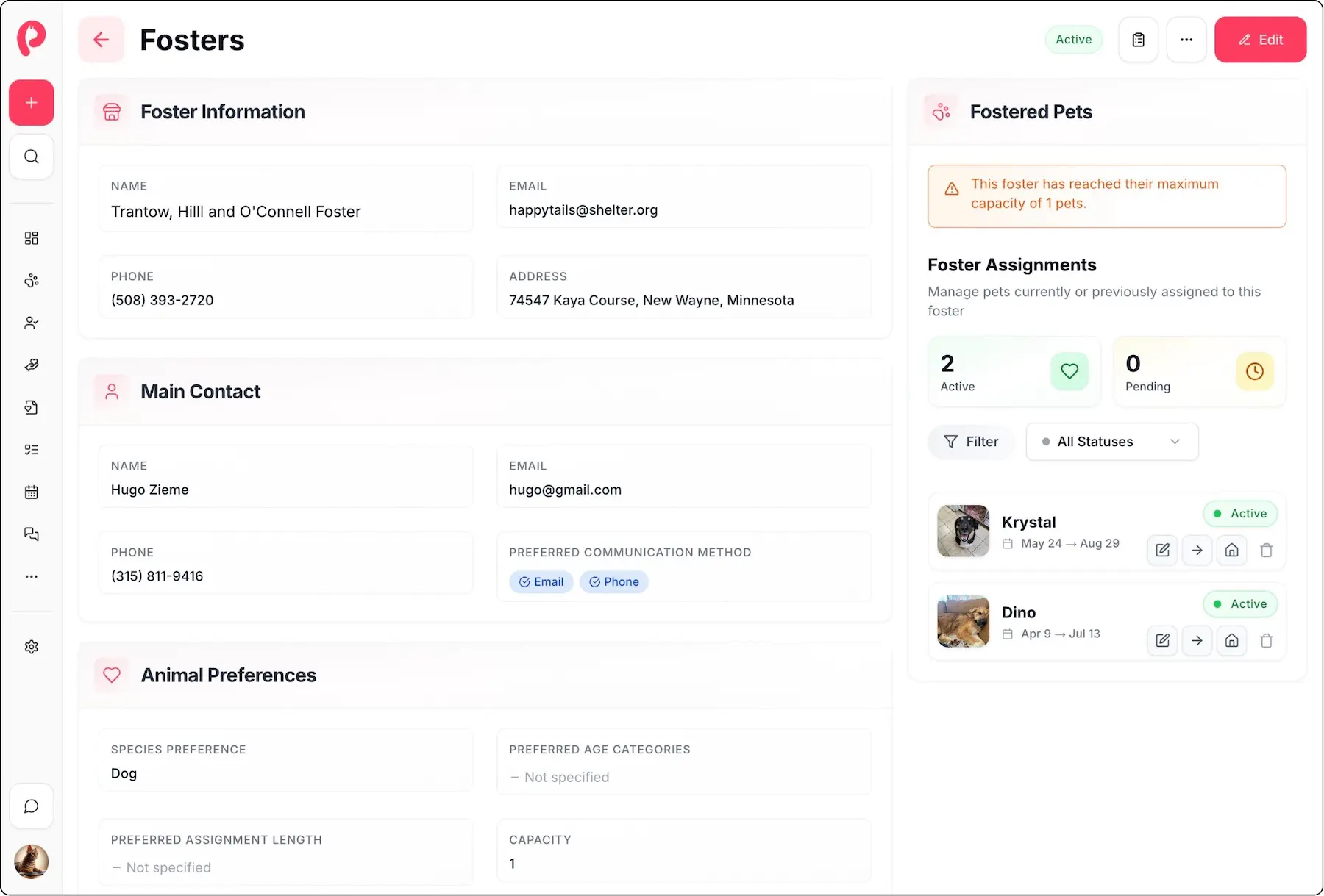 Foster home management dashboard showing pet placements and availability