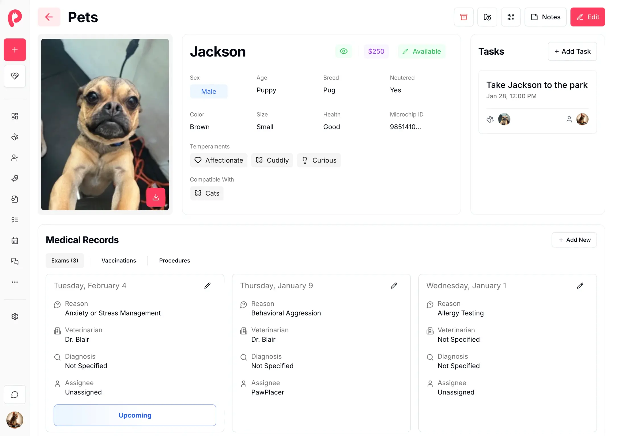 Comprehensive pet management interface showing animal profile, tasks, and medical records