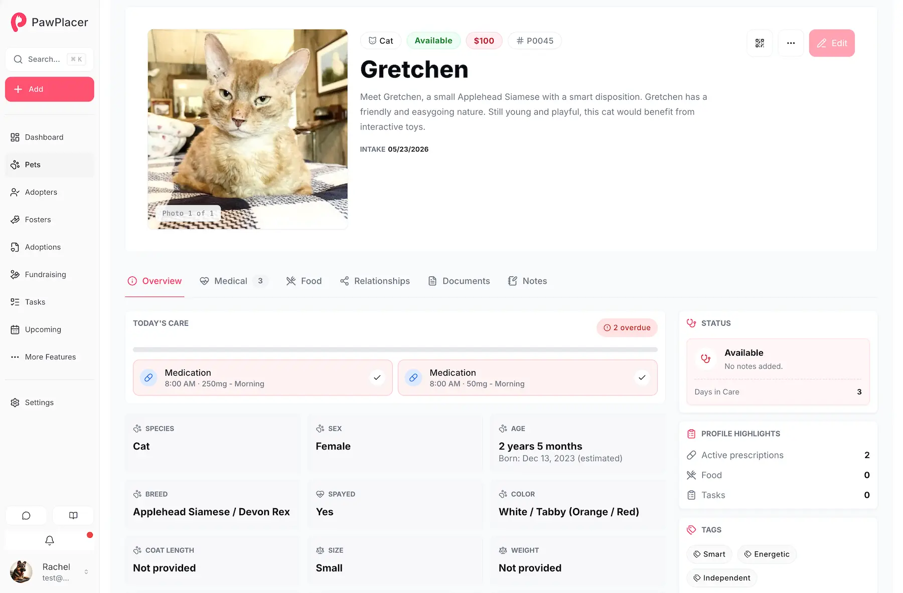 PawPlacer pet search results filtered by status
